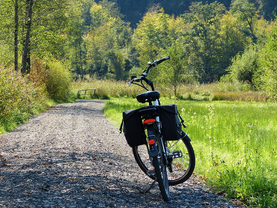 wheel, ebike, away, forest, autumn, more, cycling, sport, movement HD wallpaper