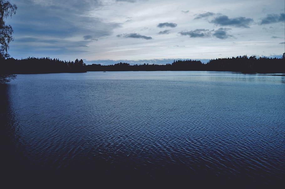 sweden, forest, tree, trees, lake, cloudy, water, clouds, tranquility HD wallpaper
