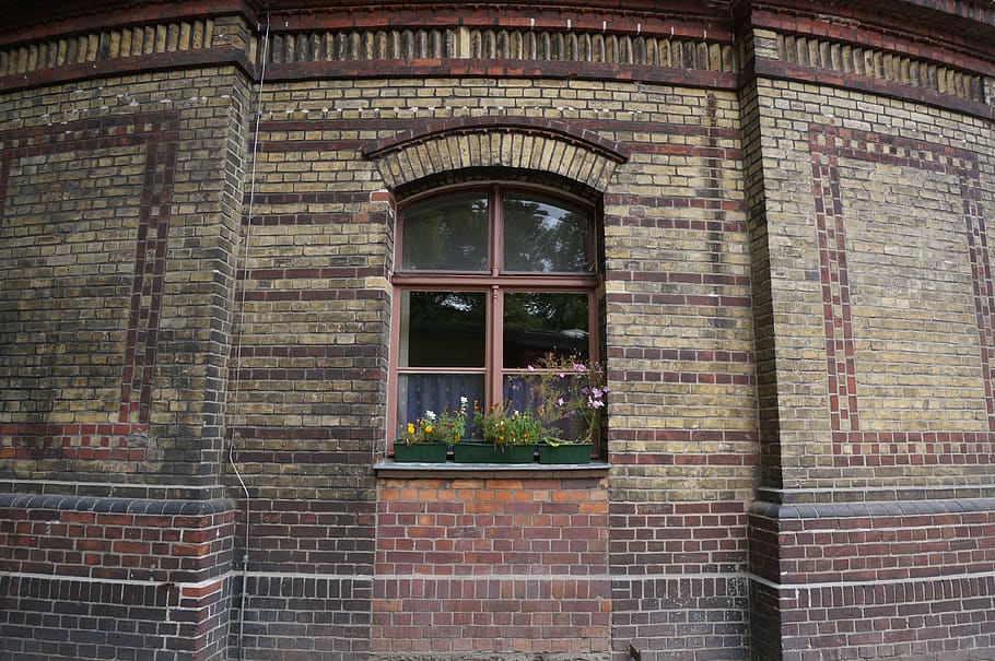 germany, berlin, flowers, building, west berlin, bricks, window HD wallpaper