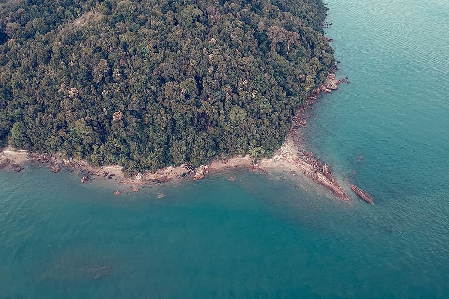 Aerial Photography of Green Trees Near Body of Water, beach, blue HD wallpaper