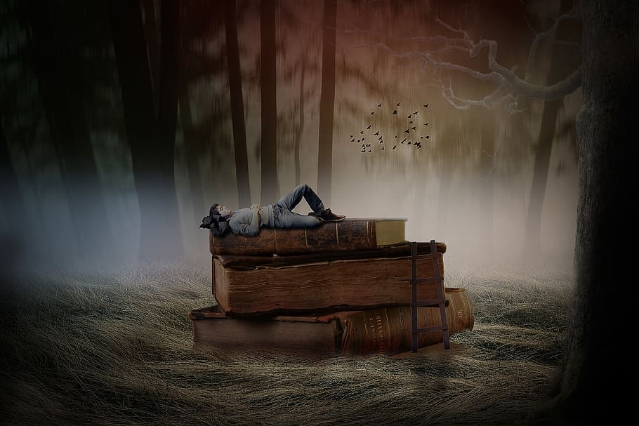 manipulation, book, relax, forest, grass, birds, fog, tree HD wallpaper