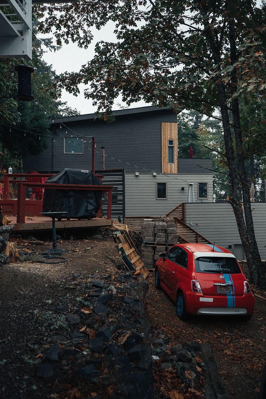 united states, eugene, architecture, built structure, tree HD wallpaper