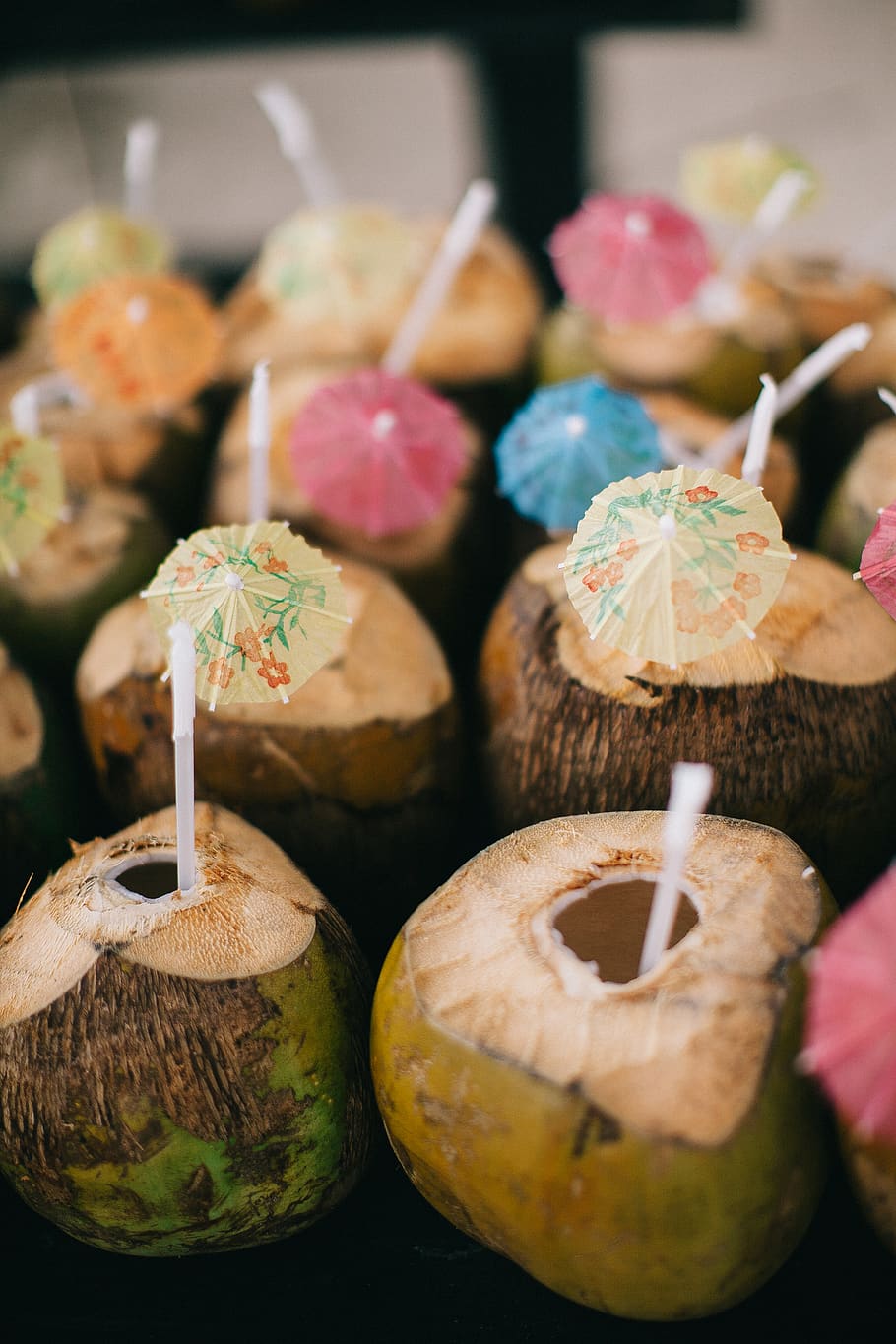 Opened Coconut Shells, coconuts, delicious, drinks, fruit, juice HD wallpaper