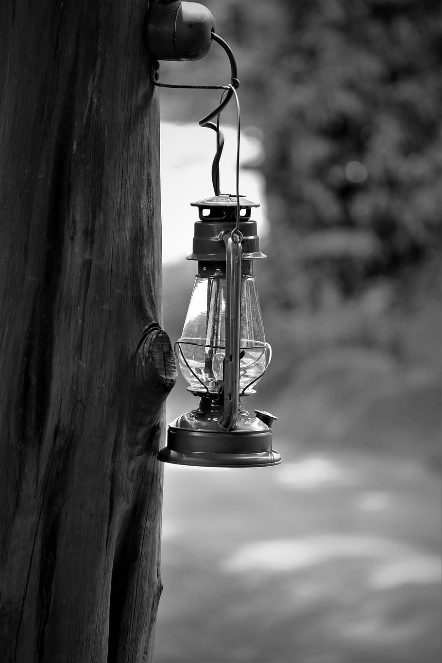 lantern hanging on tree, lighting equipment, focus on foreground HD wallpaper