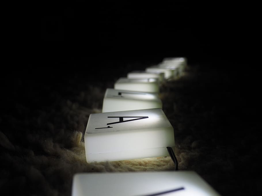 belgium, brussels, indoors, text, no people, close-up, selective focus HD wallpaper