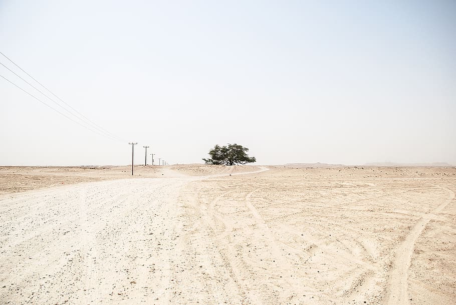 transmission, line, clouds, sky, tree, desert, land, sand, nature HD wallpaper