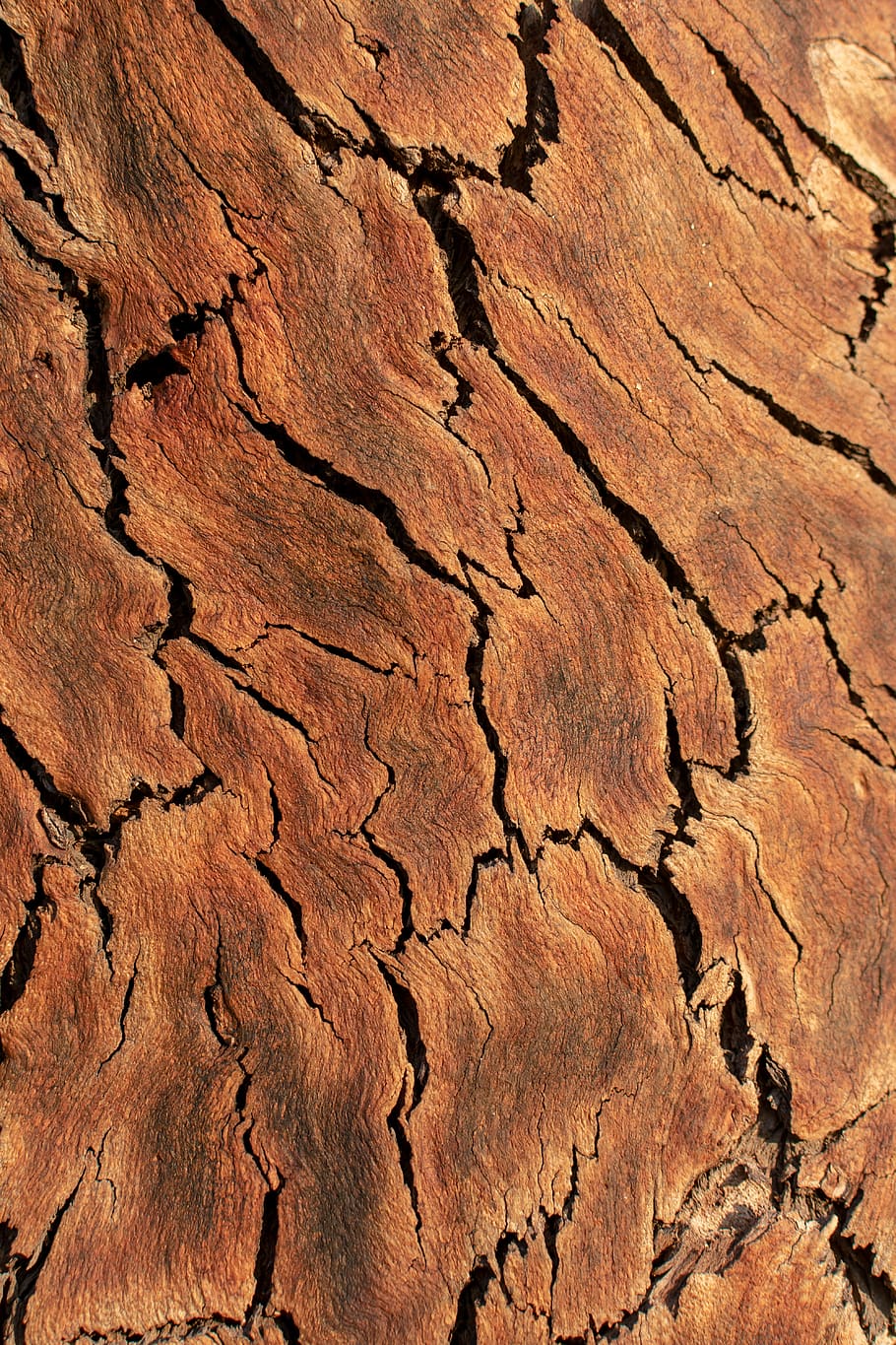 brown wooden plank, backgrounds, full frame, textured, environment HD wallpaper