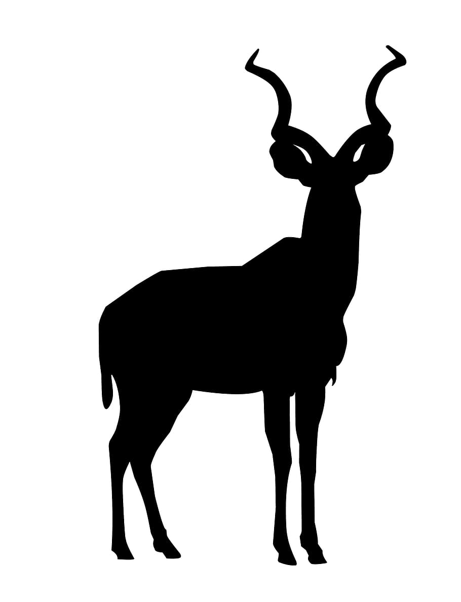 Black silhouette of kudu., animal, african, hooves, savannah, HD wallpaper