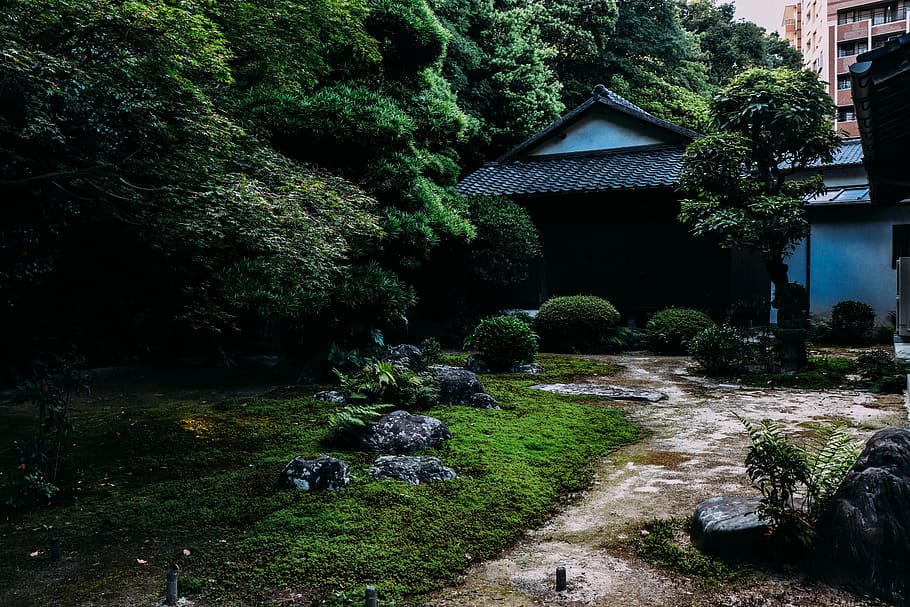 jeg er syg efterår Tilslutte HD wallpaper: japan, fukuoka, nature, green, japanese garden, tree, temple  | Wallpaper Flare