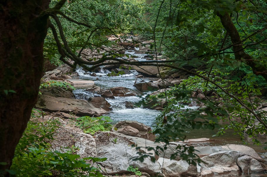 river, nature, trees, plant, water, forest, rock, rock - object HD wallpaper