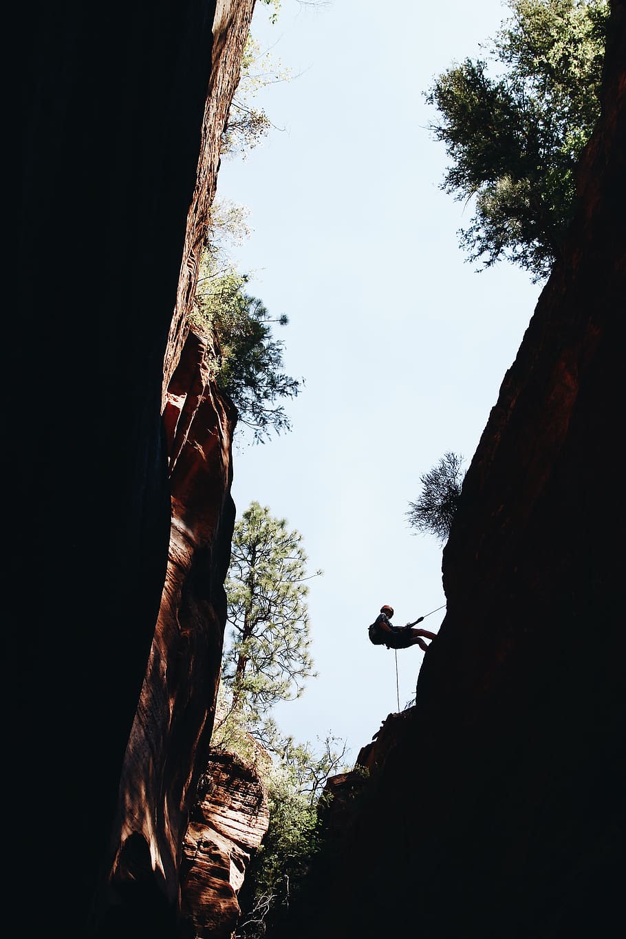 man rock climbing during daytime, tree, plant, sky, nature, real people HD wallpaper