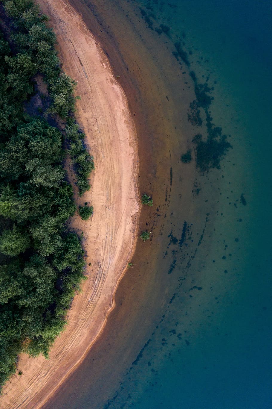 aerial view of beach, ocean, sea, tree, forest, shore, shoreline HD wallpaper