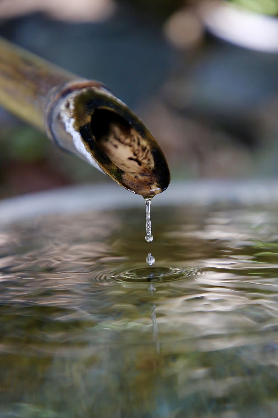 bamboo water flowing, close-up, selective focus, motion, drop HD wallpaper