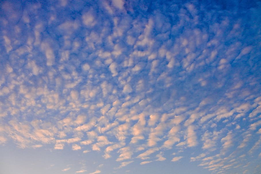 Clear Blue Sky, background, bright, cloud formation, cloudiness HD wallpaper