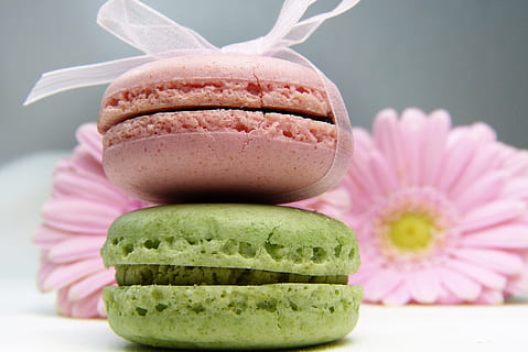 macaron, gerbera, loop tape, pink, light green, sugar, diabetes HD wallpaper