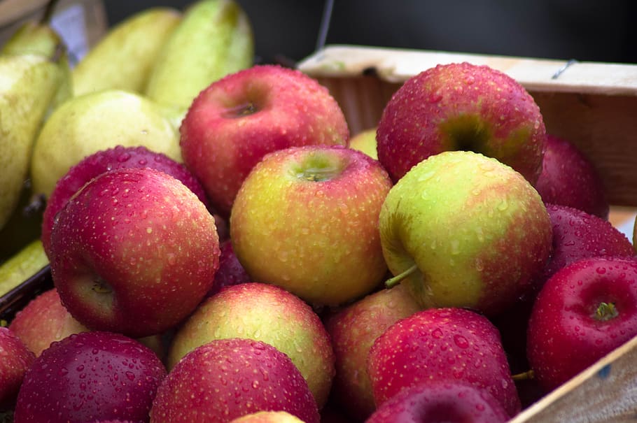 apples, fruit, fall, harvest, food and drink, healthy eating HD wallpaper