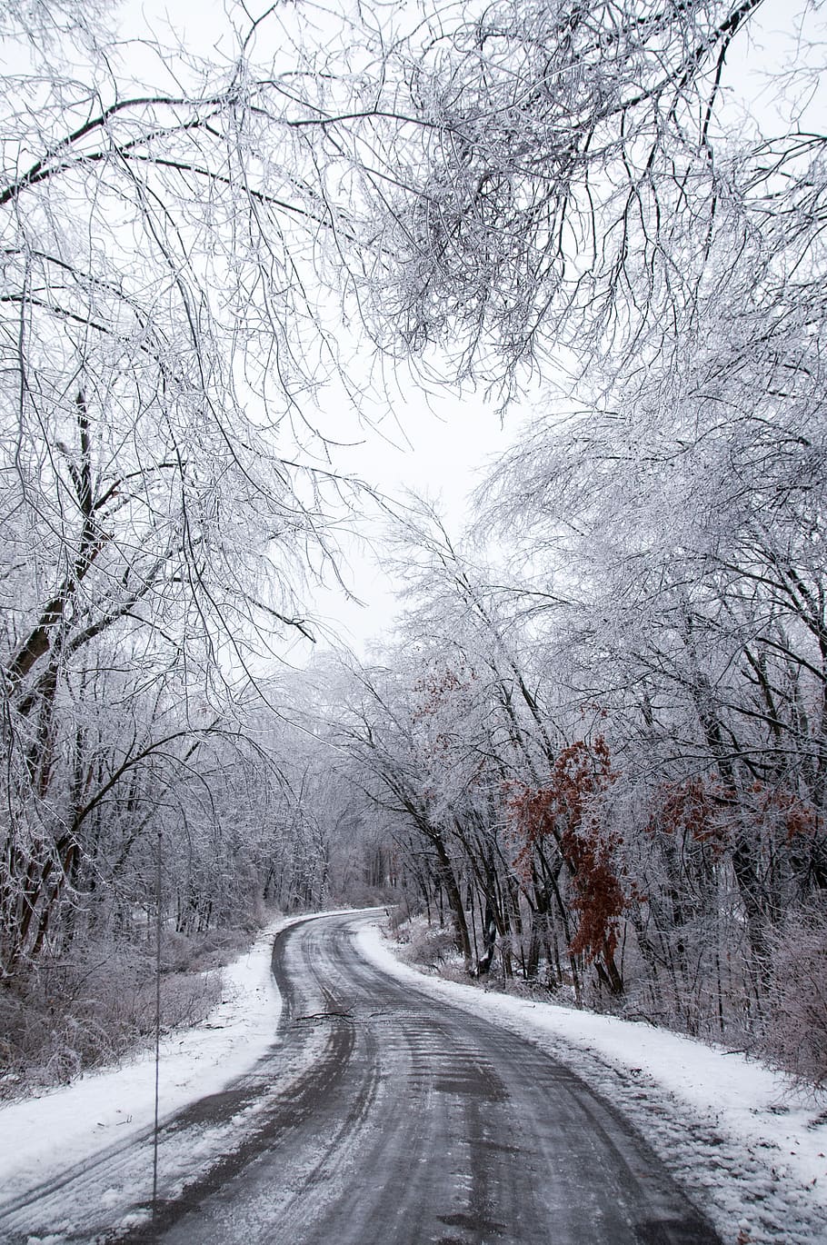 gray road, nature, outdoors, snow, ice, winter, mi, clarkston, HD wallpaper