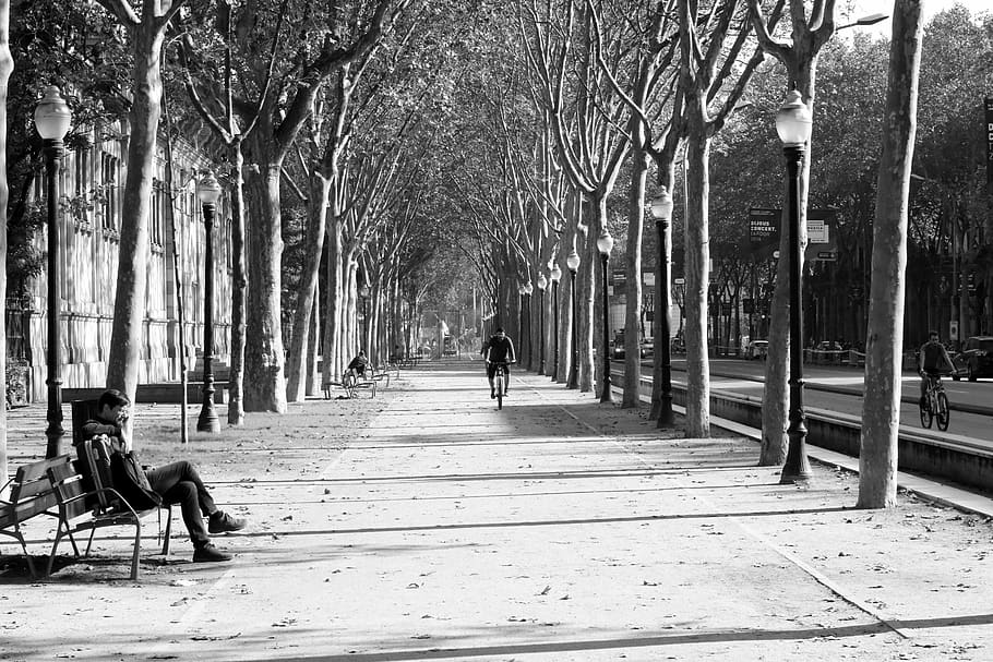 spain, barcelona, park, bench, trees, beautiful, black and white HD wallpaper