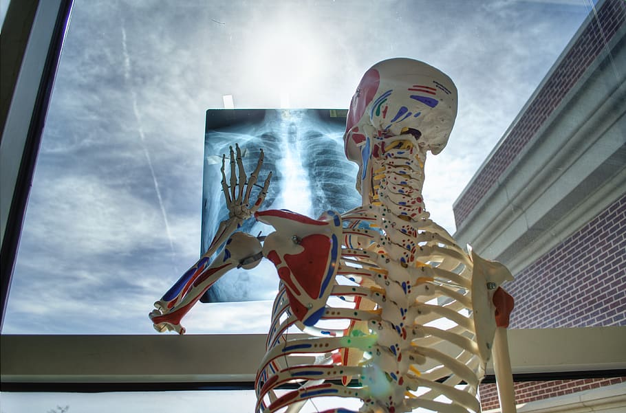 A skeleton touching an X-ray picture., sky, low angle view, human representation HD wallpaper