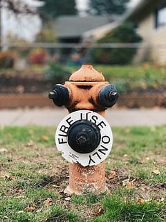 orange fire hydrant, portland, 3002 se sherman st, united states HD wallpaper