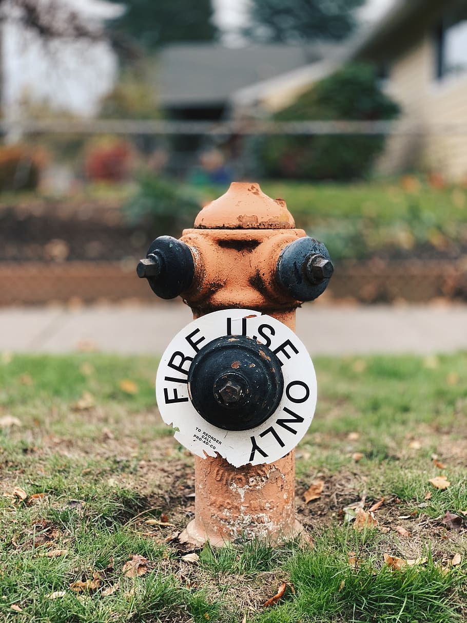 orange fire hydrant, portland, 3002 se sherman st, united states HD wallpaper