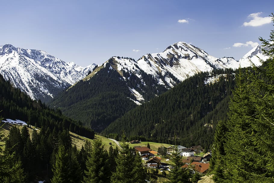 Scenic View of Mountains, alps, conifers, environment, evergreen HD wallpaper