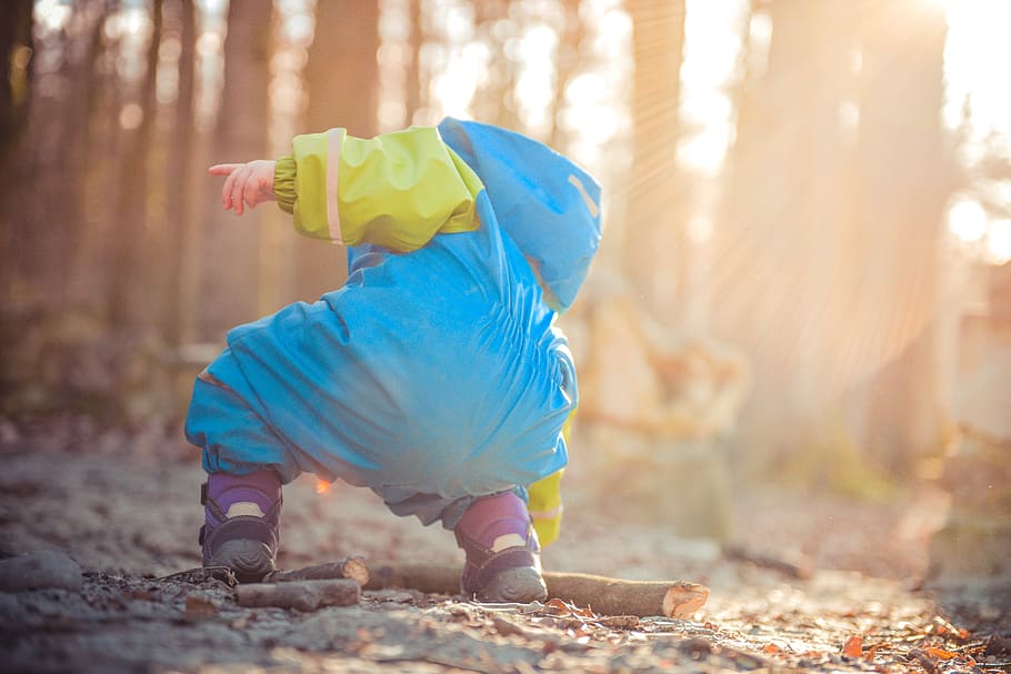 toddler picking up tree branch, full length, one person, land HD wallpaper