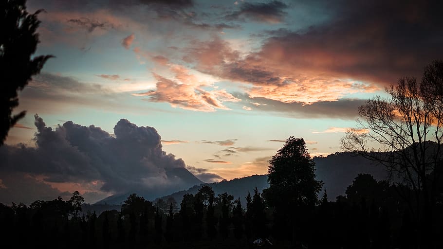 nature, outdoors, weather, cloud, sky, cumulus, sunset, fir HD wallpaper
