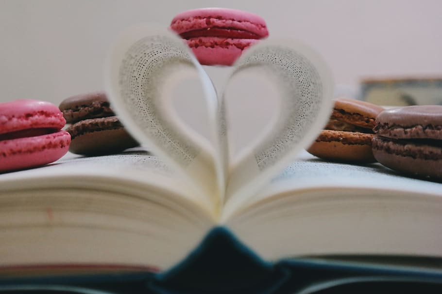 book, read, study, cookie, macaroon, sweets, pastry, dessert HD wallpaper