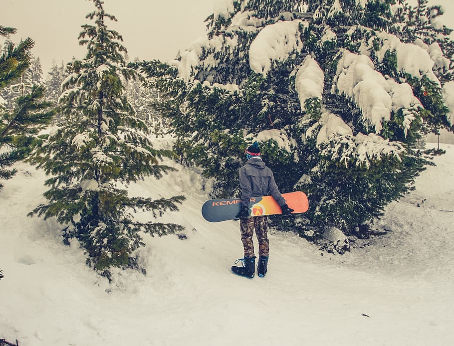 snow, snowboard, trees, white, background, wallpaper, hd, landscape HD wallpaper