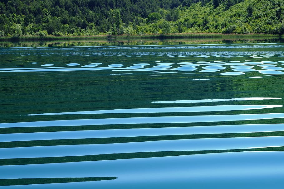 reflections, rest, lake, peaceful, nature, water, plant, tree HD wallpaper
