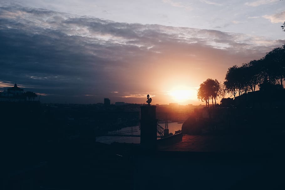 Silhouette of Trees and Buildings during Sunrise, backlit, city HD wallpaper