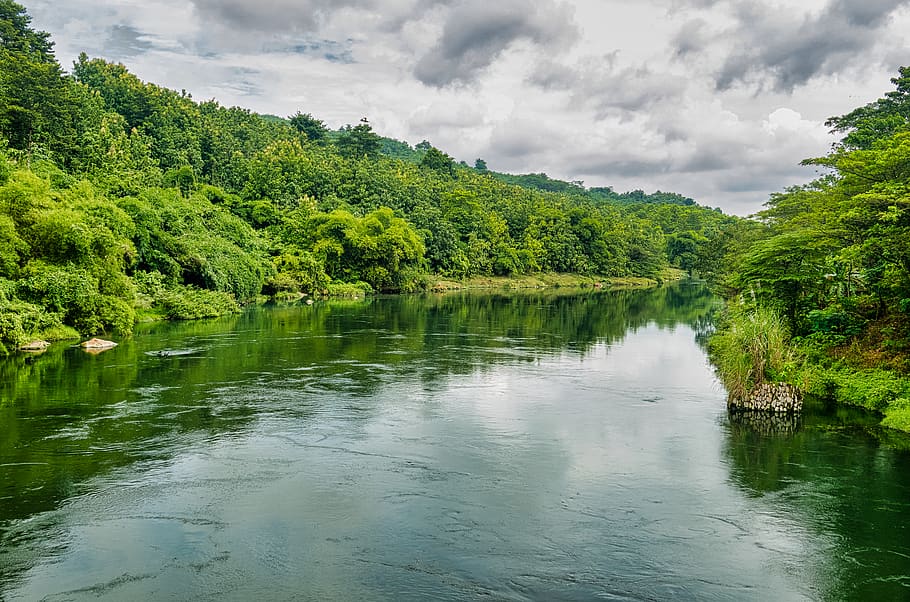 Photo of River in Between Trees, adventure, beautiful, calm, clouds HD wallpaper