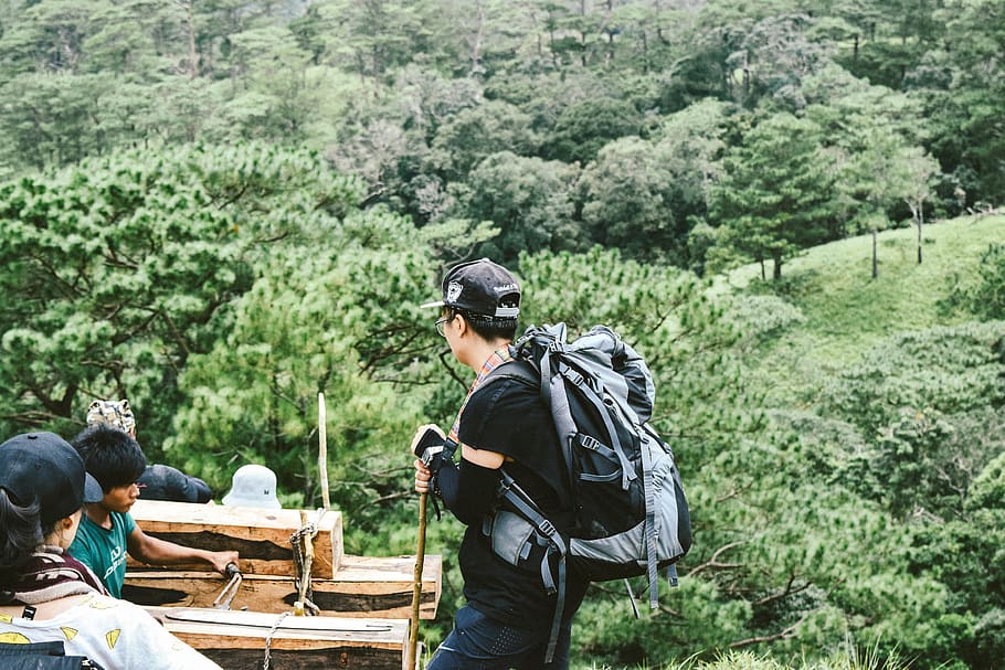 trekking, tree, plant, forest, land, backpack, leisure activity HD wallpaper