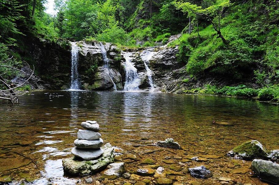 Body of Water Across Forest, environment, flow, landscape, moss HD wallpaper