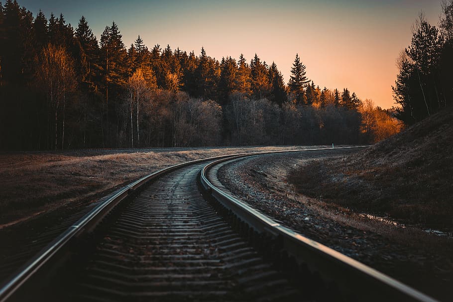train rail surrounded by trees, plant, direction, the way forward HD wallpaper