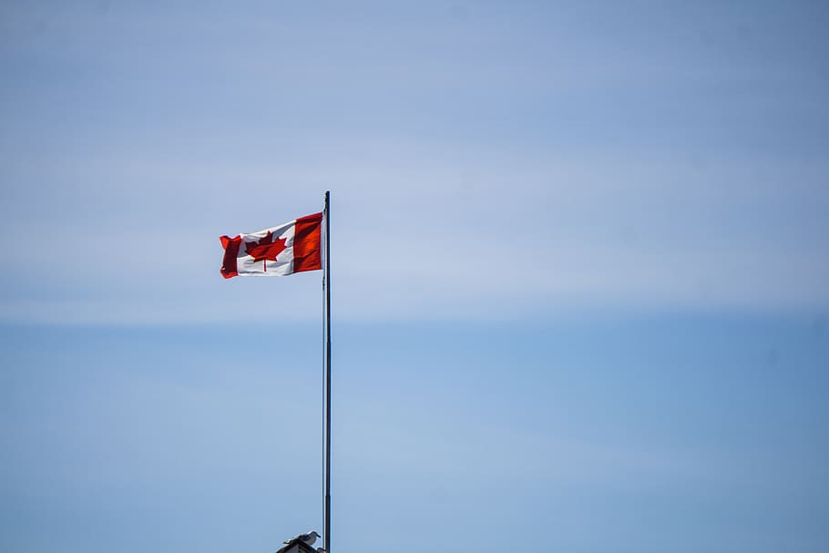 canada, victoria, canada 150, canadian flag, maple leaf, patriotism, HD wallpaper