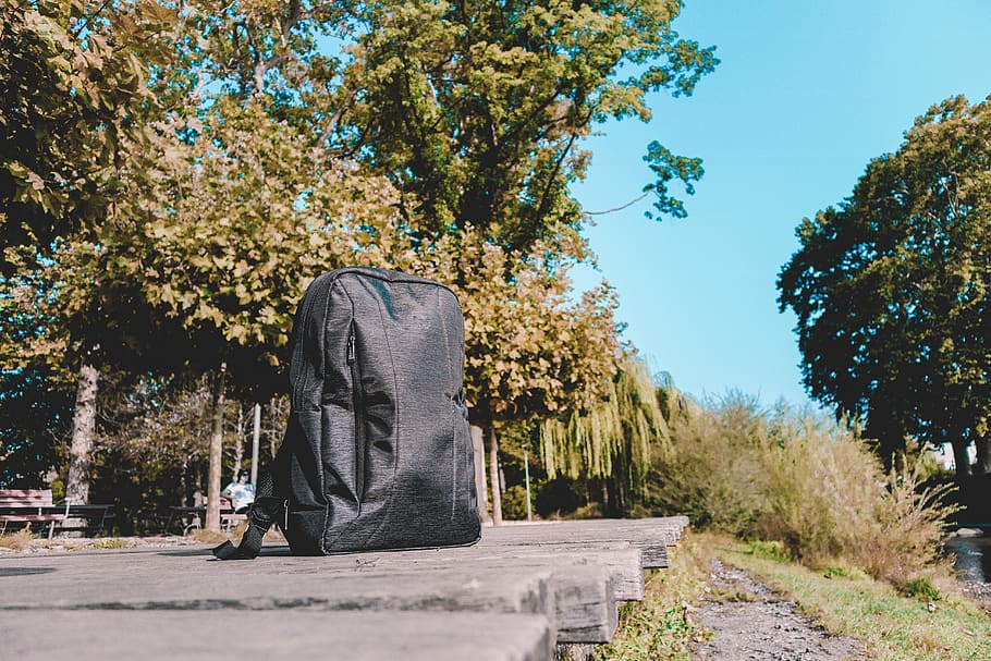 Black Backpack , trees, plant, day, nature, sculpture, growth HD wallpaper