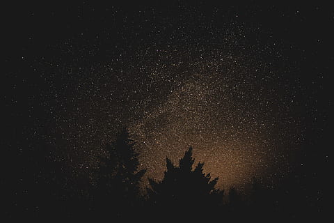 silhouette of trees with stardust on sky, long exposure, astrophotography HD wallpaper