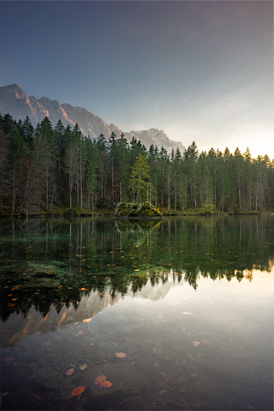 green leaf trees near mountain, fir, plant, abies, water, nature HD wallpaper