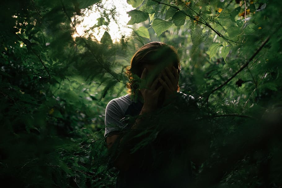 trees, man, sunlight, darkness, shadows, forest, green, greenery HD wallpaper