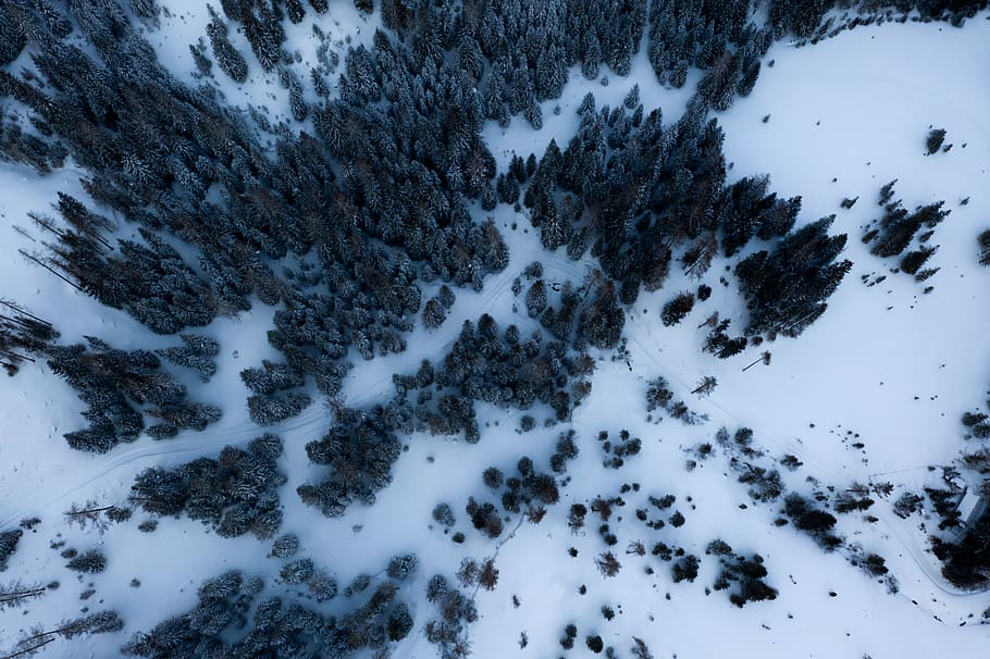 aerial photography of trees, nature, outdoors, snow, tumblr backgrounds, HD wallpaper