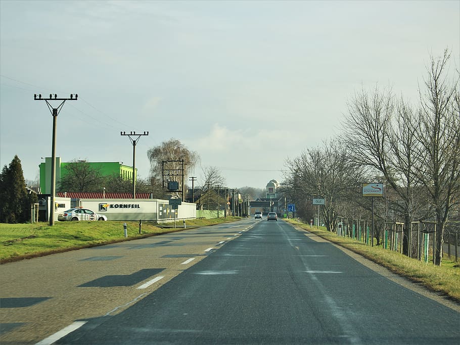 road, winter, trip, transportation, tree, sky, direction, sign HD wallpaper