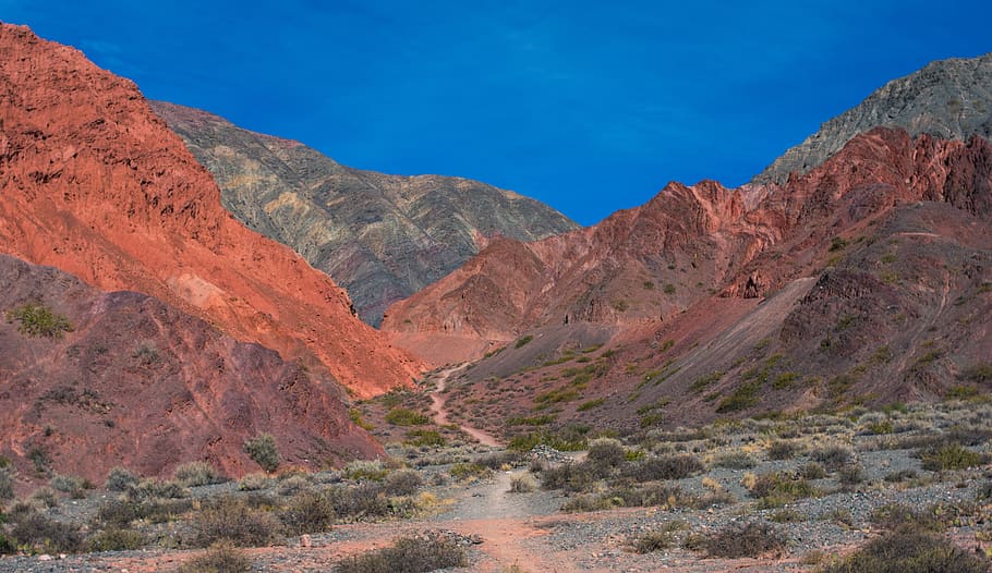 mountains, hills, path, road, rocks, bushes, grass, canyon HD wallpaper