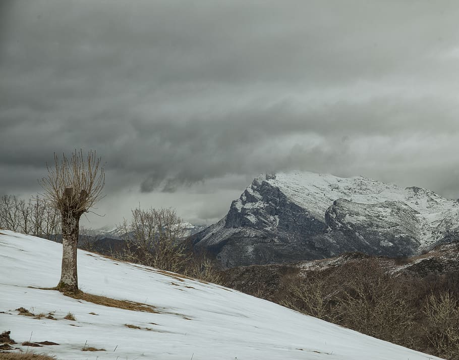 spain, ponga, trees, clouds, mountains, cold temperature, winter HD wallpaper