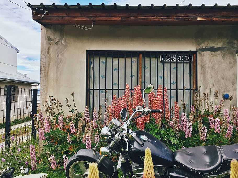 argentina, ushuaia, window, gates, plants, motorcycle, south america HD wallpaper