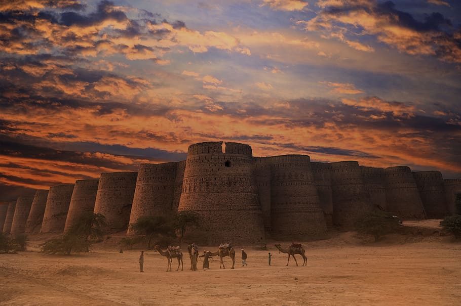 Three Brown Camels Near Building Under Cloudy Sky, ancient, architecture HD wallpaper
