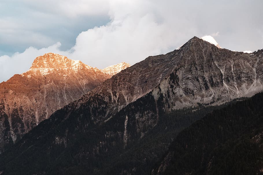 Brown Wooden Trees With Mountain Range, altitude, clouds, cold HD wallpaper