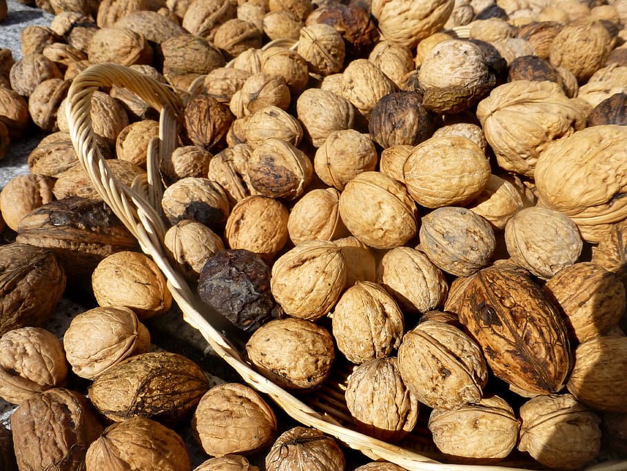 nuts, walnuts, autumn, harvest, backgrounds, full frame, large group of objects HD wallpaper