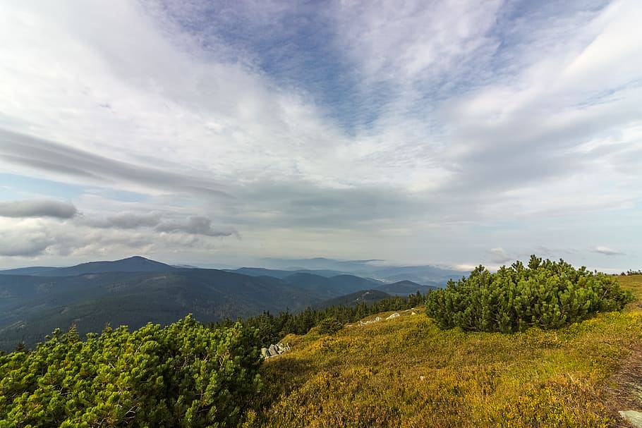 sky, clouds, green, bush, trees, mountains, montain, cloud - sky HD wallpaper